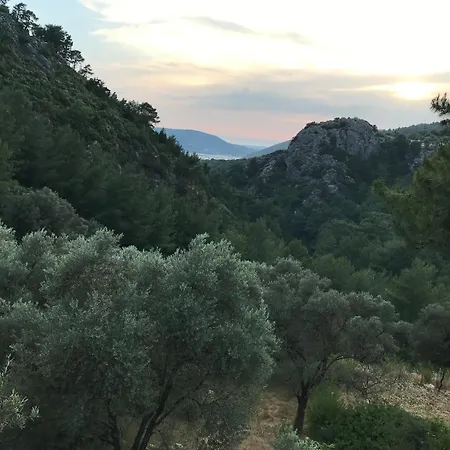 Tyana Home-1 Апартаменти