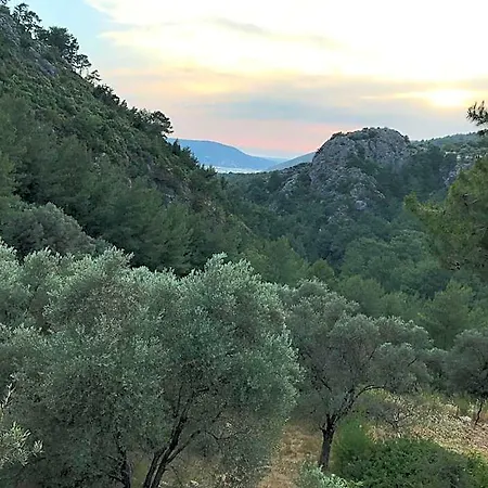 Tyana Home-1 Διαμέρισμα *