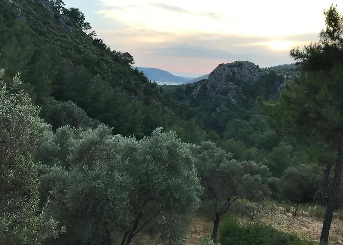 Tyana Home-1 아파트